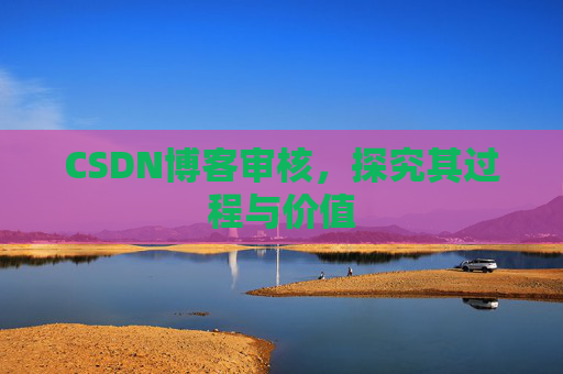 CSDN博客审核，探究其过程与价值